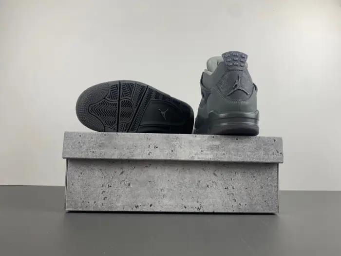 Air Jordan 4 SE Paris Olympics Air Jordan 4 SE Paris Olympics