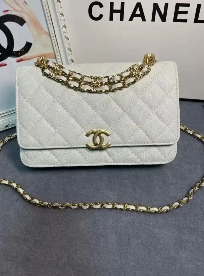 Chanel 19 Bags