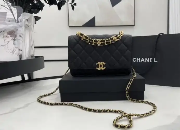 Chanel 19 Bags