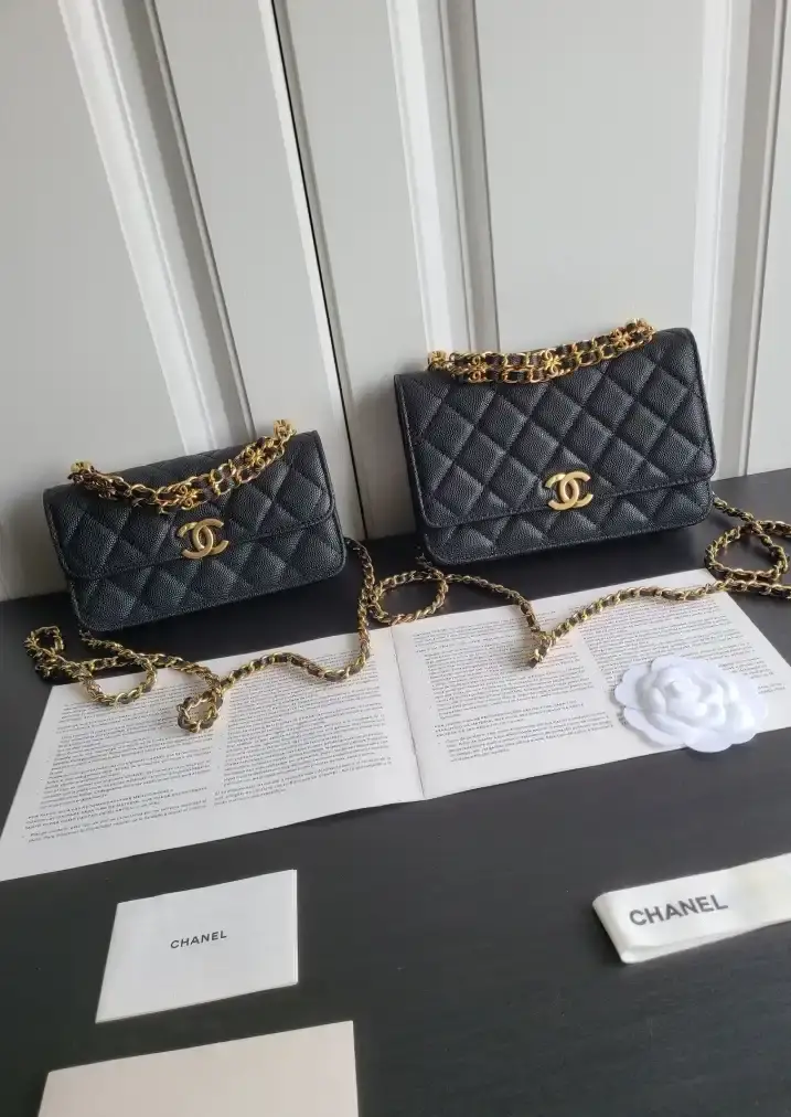 Chanel 19 Bags
