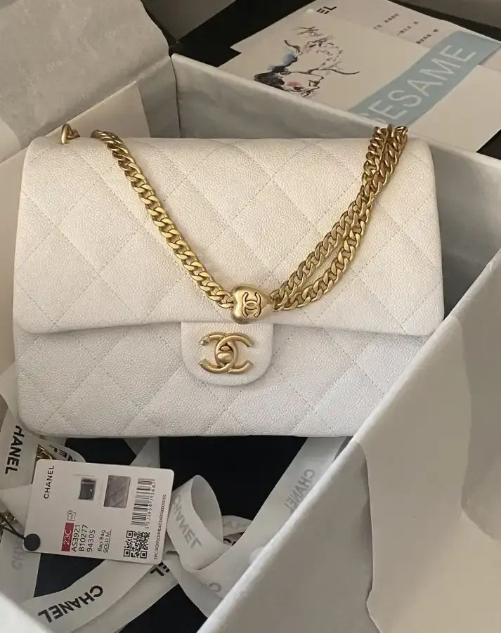 Chanel 19 Bags