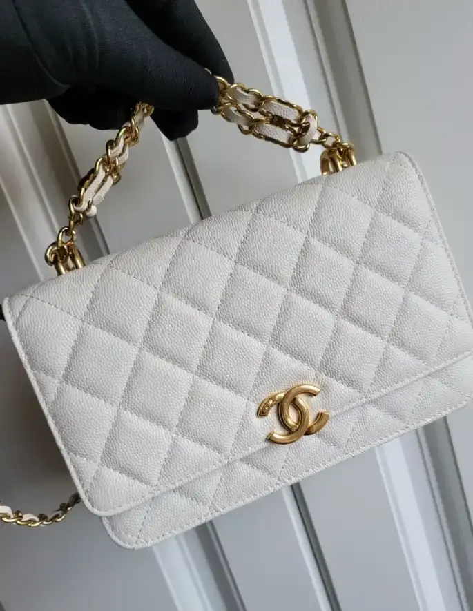 Chanel 19 Bags