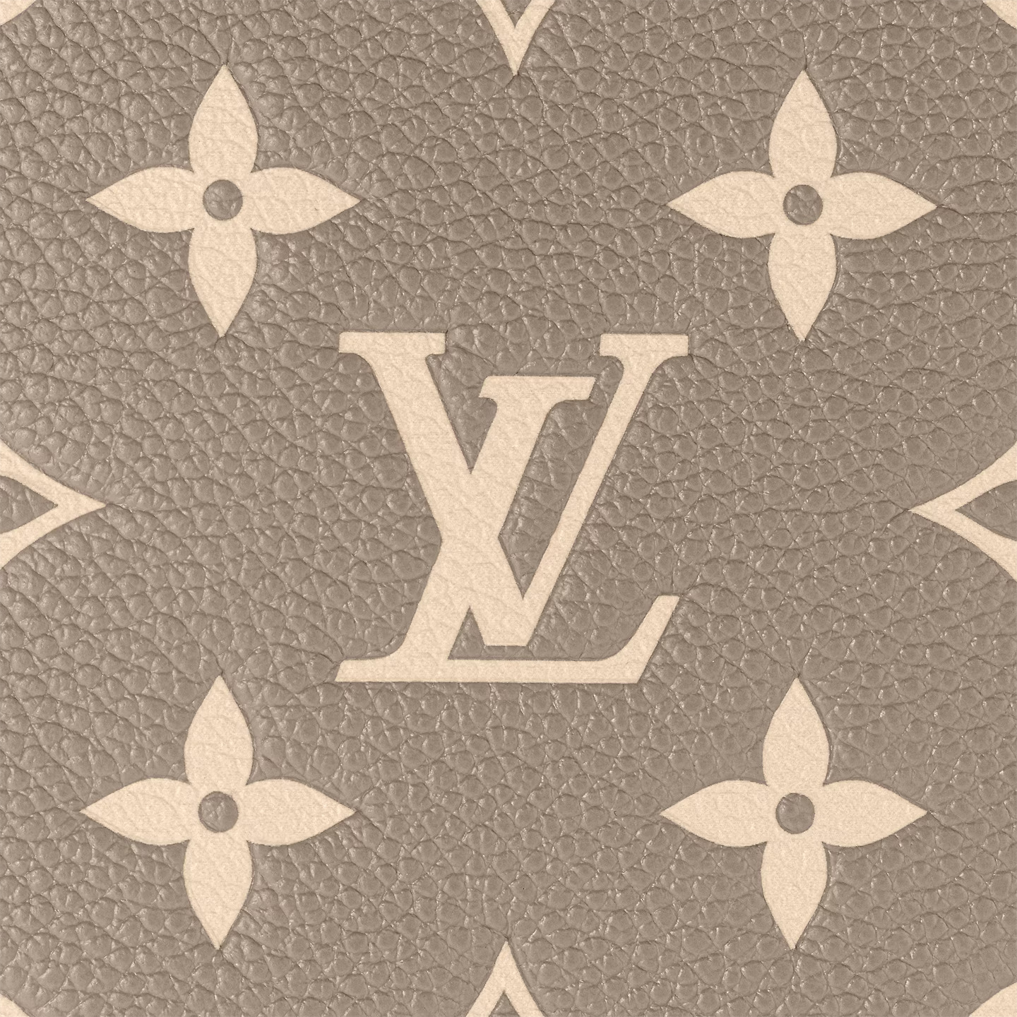 LV M45555 NoNo MM